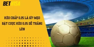 Kèo chấp 0,25 là gì? Mẹo đặt cược kèo 0,25 dễ thắng lớn