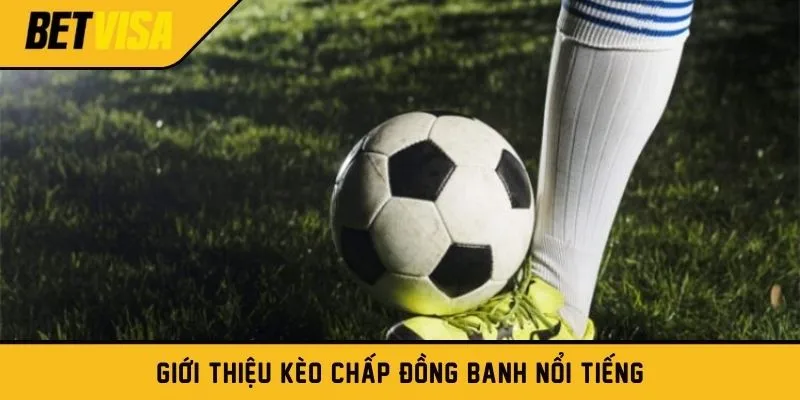 Giới thiệu kèo chấp đồng banh nổi tiếng